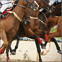 Why multiple projects is as stupid as betting on all the horses